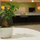 Business 11 image HOLIDAY INN MAYAGUEZ & TROPICAL CASINO, AN IHG HOTEL in Mayaguez Un