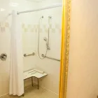 Business 46 image HOLIDAY INN & SUITES CHICAGO-DOWNTOWN, AN IHG HOTEL Wedding Venue in Chicago IL