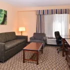 Business 74 image HOLIDAY INN & SUITES CHICAGO-DOWNTOWN, AN IHG HOTEL Wedding Venue in Chicago IL