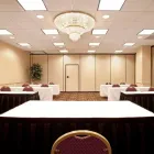 Business 83 image HOLIDAY INN & SUITES CHICAGO-DOWNTOWN, AN IHG HOTEL Wedding Venue in Chicago IL