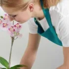 Business 3 image HOME CLEANING SERVICE WEST VILLAGE in New York NY