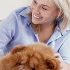 Business 3 image HOME CLEANING SERVICES BROOKLYN in Brooklyn NY