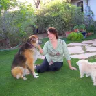 Business 3 image HOME SWEET HOME PET SITTING AND DOG WALKING Pet Sitting Exercising Services in Tucson AZ