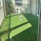Business 1 image HOME TURF DALLAS Lawn Care in Dallas TX