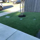 Business 5 image HOME TURF DALLAS Lawn Care in Dallas TX