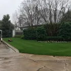 Business 8 image HOME TURF DALLAS Lawn Care in Dallas TX