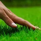 Business 5 image HOME TURF - DALLAS Landscape Architects & Designers in Dallas TX