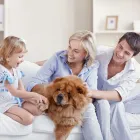 Business 3 image HOMECLEAN HOUSE CLEANING SERVICES STATEN ISLAND in Staten Island NY