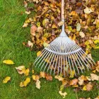 Business 1 image HOMEGROWN LANDSCAPING Paving Supplies in Middle Village NY