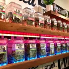 Business 1 image HOMEGROWN OREGON - BEAVERTON/WEST PORTLAND in Portland OR