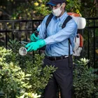 Business 6 image HOMETEAM PEST DEFENSE Pest Control in Tucson AZ