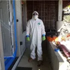 Business 4 image HONEST RODENT PROOFING Rodent Exclusions in Walnut Creek CA