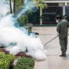 Business 2 image HORSE CAPITAL TERMITE REMOVAL EXPERTS Pest Control Services in Lexington KY