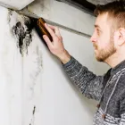 Business 1 image HOSTESS CITY MOLD INSPECTION Home Inspectors in Savannah GA