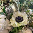 Business 3 image HOUSE OF FLOWERS Florists in Lincoln NE