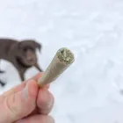 Business 3 image HOUSE OF RELEAF in Del City OK