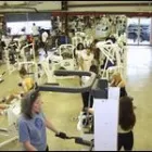 Business 4 image HOUSTON GYM Gymnasiums in Houston TX