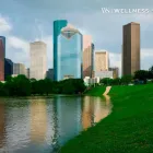 Business 3 image HOUSTON MEDICAL SHARED OFFICE RENTALS BY WELLNESSSPACE Office Space Rental in Houston TX