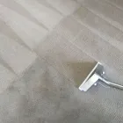 Business 1 image HUNTER'S EXTREME CLEANING SERVICES Carpet & Upholstery Cleaning in Federal Way WA