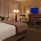 Business 2 image HYATT REGENCY DFW INTERNATIONAL AIRPORT Hotel in Dallas TX
