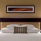Business 8 image HYATT REGENCY INDIANAPOLIS Motels in Indianapolis IN