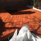 Business 9 image HYDE PARK  PAINTERS & RESTORATION Tile Contractor in Chicago IL