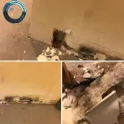 Business 3 image HYDROFORCE CLEANING SYSTEMS Water Restoration in Cicero IL