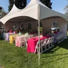 Business 1 image ICELEBRATE EVENT RENTALS Party Services in San Jose CA