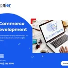 Business 8 image ICONIER DIGITAL MARKETING AGENCY Wordpress Website Design in Las Vegas NV