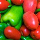 Business 23 image INDIA GATE RESTAURANT Indian Catering in Bellevue WA