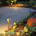 Business 6 image INDIANA LIGHTSCAPES Shopping & Retail in Indianapolis IN