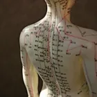 Business 3 image INNER ROOTS MASSAGE Geriatric Massage in Vancouver WA