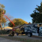 Business 1 image IRVING TREE SERVICE Arborist in Irving TX