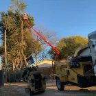 Business 2 image IRVING TREE SERVICE Arborist in Irving TX