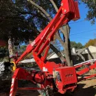 Business 3 image IRVING TREE SERVICE Arborist in Irving TX