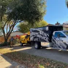 Business 6 image IRVING TREE SERVICE Arborist in Irving TX