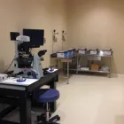 Business 2 image IVFMD Ivf in Irving TX