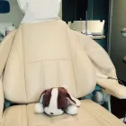 Business 7 image J. ERIC  HIRES, DDS Cosmetic Dentist in Toledo OH