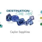 Business 3 image J. FRANK GOLDEN & ASSOCIATES in Hampton GA