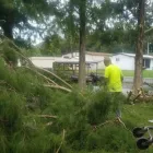 Business 3 image J & J SERVICES, LLC Tree Trimming Service in Orlando FL