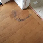 Business 3 image J&M CARPET RENEWAL Commercial Cleaning Services in Federal Way WA