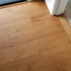 Business 4 image J&M CARPET RENEWAL Commercial Cleaning Services in Federal Way WA