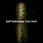 Business 11 image JADE NEUWIRTH LIFE COACH AND RELATIONSHIP COACH Marriage Counselor in San Francisco CA