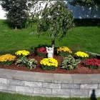 Business 2 image JAE & ANN LAWN SERVICES Lawn Care & Garden Maintenance in San Antonio TX