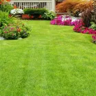 Business 1 image JAMES RIVER IRRIGATION Landscape Contractors in Richmond VA