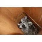 Business 1 image JCS HOME SERVICES Chimney Cleaning in Berryville VA