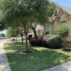 Business 2 image JDJ LANDSCAPING Turf & Lawn Suppliers in San Antonio TX