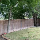 Business 6 image JDJ LANDSCAPING Turf & Lawn Suppliers in San Antonio TX