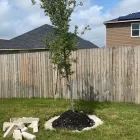 Business 20 image JDJ LANDSCAPING Turf & Lawn Suppliers in San Antonio TX