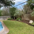 Business 21 image JDJ LANDSCAPING Turf & Lawn Suppliers in San Antonio TX
